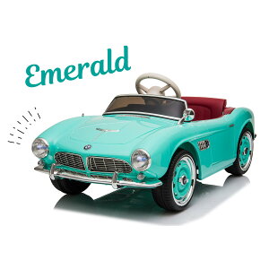 IikCAق̏jyVXF(RXgR) qǂpdpJ[ BMW 507
