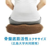骨盤底筋エクササイズクッション キュットブル 骨盤底筋 エクササイズ 尿漏れ 尿もれ 骨盤 座椅子 産後 …