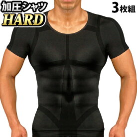 楽天市場 胸筋 Tシャツの通販