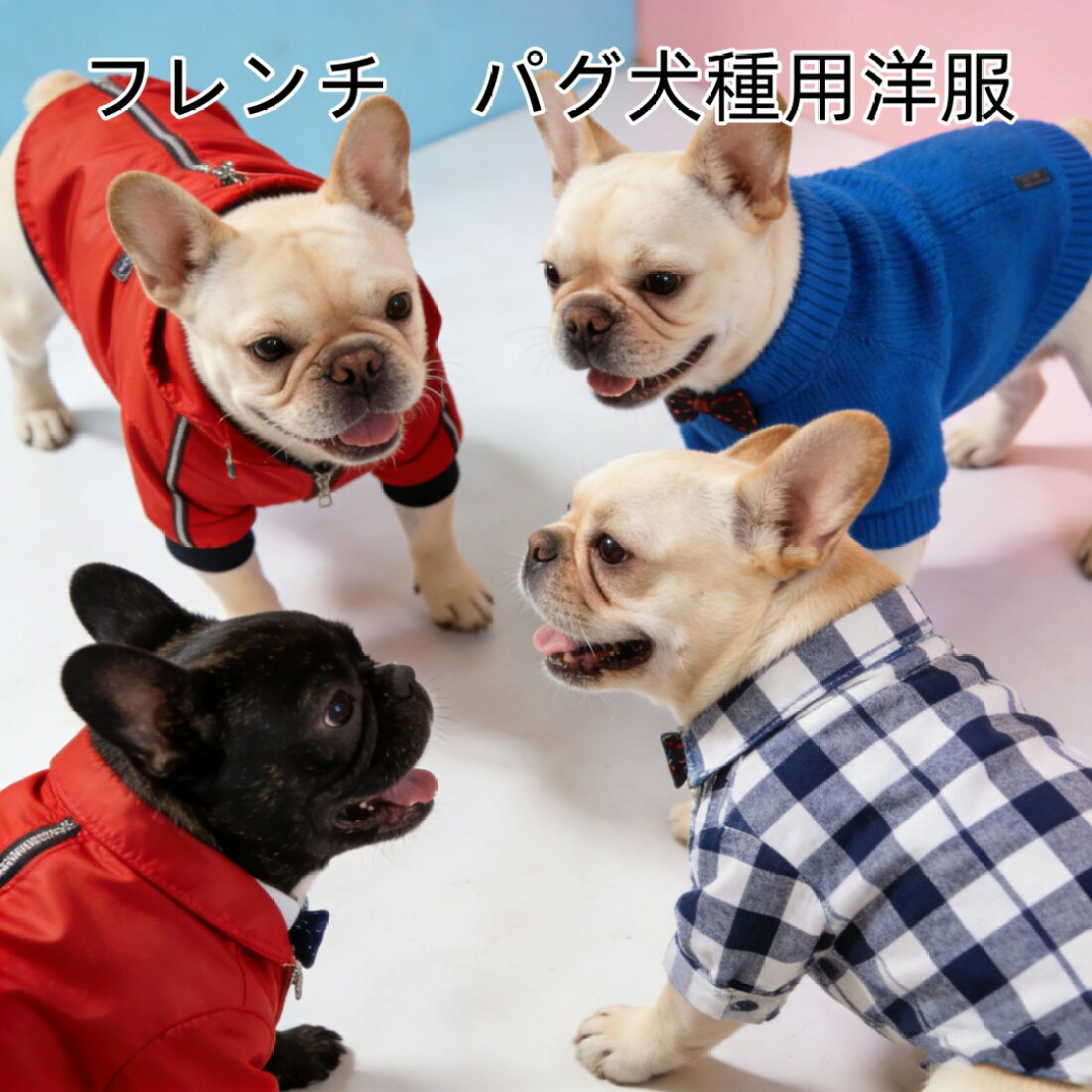 楽天市場 | さくらんぼペット用品専門ストア - ペット用品の販売をして 