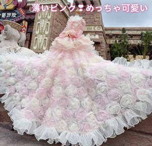 yI[_[ChOhXz hbO EFfBOhX 2way S[WX sN El  i Be ؂₩ Pl vZX  j