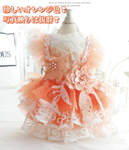 yǂ2300~OFFE3500~OFFN[|zybgm hbOEFA m hX S[WX L  IWF [X ʐ^fǂ  荠Ȓli I[V