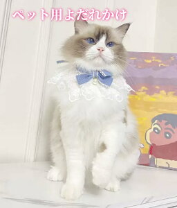 yǂ2300~OFF/ǂ3500~OFFz悾ꂩ  L ybgp    i I[V[Y  Lp Be av[g [Xp[t
