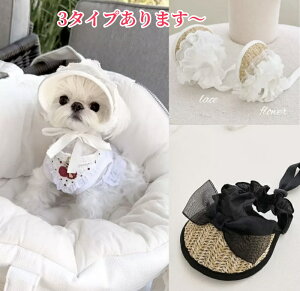 yǂ2300~OFFE3500~OFFN[|z Xq i ybgp p nbg Lbv hbOnbg  MǑ΍ ăoe ˕a 悯 Εt  킢  L