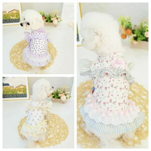 yǂ2300~OFF/ǂ3500~OFFz hbOEFA s[X hX ~ ybgp m ԕ   g _炩 t H ~p ||[Xt N 