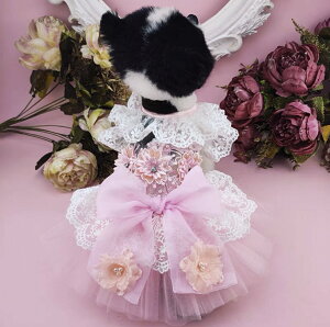 yI[_[Chz hbOEFA EFfBOhX ybg L p[eB[hX s[X S[WXhX El  i   ؂₩ Pl vZ