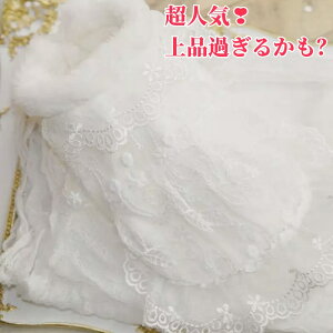 yǂ2300~OFF/ǂ3500~OFFzhbOEFA  s[X hX ~ m ybgm [X S[WX Pl s i  t@[t  RR ӂ
