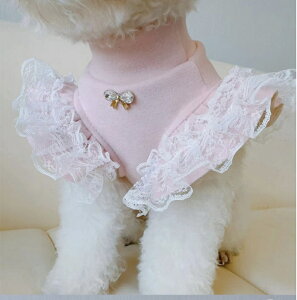 yǂ2300~OFF/ǂ3500~OFFz ̕ hbOEFA Ci[ nClbN  L m ybgm IV  Lkǂ _炩 C ₷ 2F t