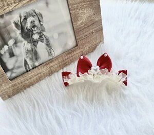 wANbv s ybg T[rXitw2.8cm S12cm 4cm  ob^ R[s pb` IV LL i   q xr[ wAANZT[ V 