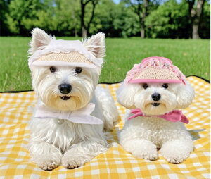 �y���ǂ�2����300�~OFF/���ǂ�3����500�~OFF�z�� �X�q �L���b�v �y�b�g�p ���p ���[�X ���O���h�~ �ăo�e�h�~ ���̖X�q �x�[�X�{�[�� �h�b�O�n�b�g �������� �M���Ǒ΍� ���˕a ���悯 ��