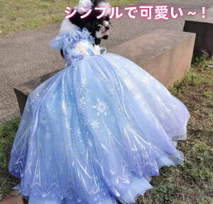 yI[_[ChOhXz hbOEFA EFfBOhX Vvŏi S[WXhX El Be ؂₩ Pl vZX  j