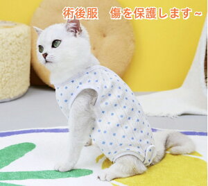 yyVX[p[SALE32%OFFz  L p㕞 p㒅 pEFA pW} Ȃ ی100ȑf ʋCǂ  r߂Ȃ wJ ₷  }WbNe[v