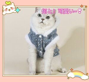 hbOEFA L pEFA ybgEFA N R[g fjn r[Y  t[ht h H~p ӂӂ RR g U Vi