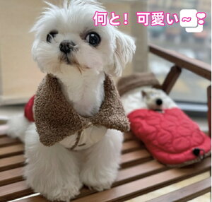 yǂ2300~OFF/ǂ3500~OFFzhbOEFA R[g ybgpm H~ N  g hR[g  ʂݏ Vi S`XL Up  IV l