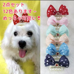 wANbv s ybg qxr[p 2_Zbg 2.8cm  ob^ R[s pb` IV ip[  ʕ  wAANZT[