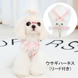 yǂ2300~OFF/ǂ3500~OFFzp n[lX [ht 2_Zbg ybgp   ETM U  ^ o ȒP qh~ Eh~  킢