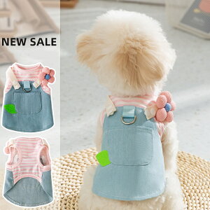   s[X hX fjs[X hX   킢 ӂӂ ̎q Cgu[ tXJ[g ` [NVeA |jA gCv[h v[h r[