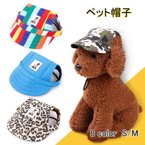  Xq ybgp p nbg Lbv hbOnbg  MǑ΍ ăoe ˕a 悯 Εt  킢 ^ L  Lbv v[g a 蕨 AE