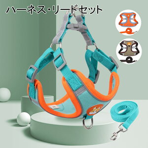  n[lX [h Zbg ^ ^ ^  L \tgn[lX EFAn[lX  Ck lR ybg [ht Lbg Ȃ Lbg  ́[˂ q ^