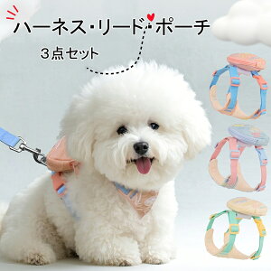 yǂ2300~OFF/ǂ3500~OFFz n[lX n[lXE[hE|[` 3_Zbg ^ ^ Lp EFAn[lX \tgn[lX [hZbg n[lX  [ht