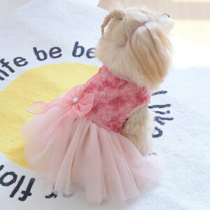 hbOEFA  s[X hX pEFA ybgEFA t  tp ėp ^p ^p   U sN ohX [X  ̎q