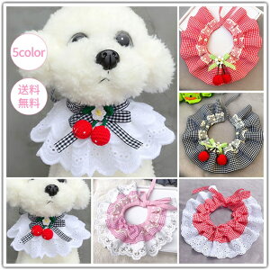  L ybgp 悾ꂩ Lp XJ[t CklR̐Ԃp  lRp X^C 5  LC [XX^C hJ  X^C ru  L X^C