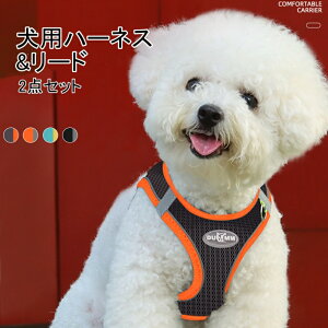  n[lX [h 2_Zbg Ȃ EȂ ́[˂ ^ ^ ^ q bV  Č y p  tBbg  U ł  XS-M