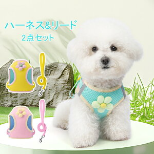  n[lX [h 2_Zbg ́[˂ ^ ^ Ȃ EȂ ^ q bV  Č y p  tBbg  U ł  XS-XL