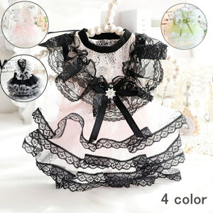 yǂ2300~OFF/ǂ3500~OFFz hbOEFA ybg L F EFfBOhX p[eB[hX s[X hX  i   ؂₩ Pl v