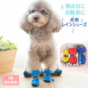 �y���ǂ�2����300�~OFF/���ǂ�3����500�~OFF�z���C ���̌C ���C���V���[�Y ���C���u�[�c �h�b�O�u�[�c �h�b�O�V���[�Y 1000�~�|�b�L�� �� �������₷�� ���� ���C �u�[�c �V���[�Y �U�� �C �C