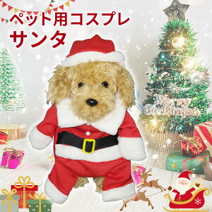 RXv T^N[X ybgp T^  L RXv 킢 NX}X ߑ ^ ^ ȒPE ʐ^f ybgEFA RX`[ ʂ  RXvZbg 