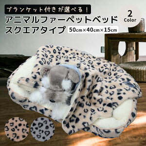 �y�b�g�x�b�h �X�N�G�A�^ �� �x�b�h �L �x�b�h �X�N�G�A �����` �l�p �u�����P�b�g �Z�b�g ������� �ӂ�ӂ� �������� ����~�� �􂦂� �~�p ���^�� �L�p �C���e���A �M�t�g ���킢�� �A�j�}