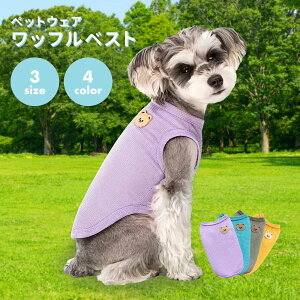 ybgEFA  L hbOEFA LbgEFA btxXg t  H Jt 킢 N} Ȃ m[X[u o U  