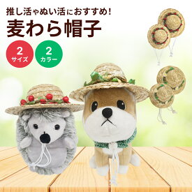 ぬい活 ミニ帽子 飾り付き 麦わら帽子 ストローハット 【 赤い実・緑の実 】 S M サイズ 推し活 ぬい撮り ぬい旅 人形 ドール ぬいぐるみ ペット用 犬用 猫用 被り物 かわいい ペット熱中症対策 送料無料