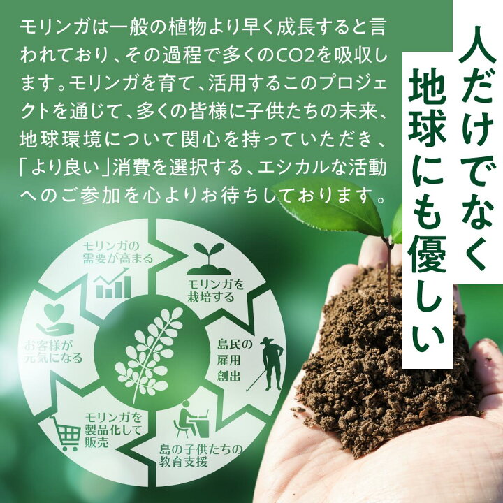 楽天市場 送料無料 モリンガ プロテイン 奇跡の島のスーパーフード プロテイン トレーニング 筋肉 筋トレ ダイエット 美 美容 健康 食品 健康食品 Diet お試し 食物繊維 ギフト おすすめ 人気 グルメ 購入 カロリー タンパク質 ジャパンナチュラル研究所