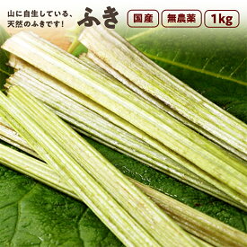 ふき 1,000g 秋田県産 天然 山菜 蕗 さんさい とれたて 【収穫次第出荷】