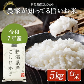 米 5kg 新潟県産 こしひかり 令和7年度産 お米 5キロ 白米 精米 産地直送 送料無料 コシヒカリ