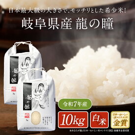 岐阜県産 いのちの壱 龍の瞳 米 10kg 令和7年度産 新米 お米 10キロ 白米 精米 送料無料 りゅうのひとみ