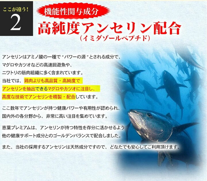 楽天市場】【正規販売店】【機能性表示食品】恵葉プレミアム1袋（90粒 
