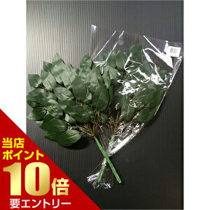 _XSi|Cg10{^vGg[h 呢 _Ip_ É؍HsvA͂ȂԂ̍łB