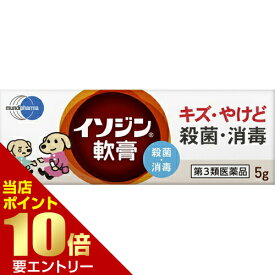 店内ポイント10倍★お買い物マラソン※要エントリー【第3類医薬品】イソジン軟膏 5g皮膚の薬 乾皮症 乾燥によるかゆみ 軟膏 イソジン[海外出荷NG]