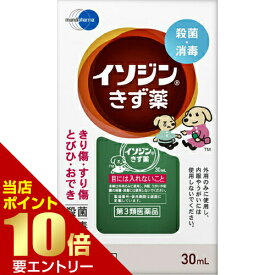 店内ポイント10倍★お買い物マラソン※要エントリー【第3類医薬品】イソジンきず薬 30mL皮膚の薬 切り傷 すり傷 液体 イソジン[海外出荷NG]