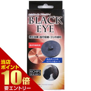 丸山式コイル ブラックアイ」の人気商品一覧・価格比較 - 価格.com