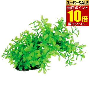 _XSi|Cg10{^vGg[eg tLVuvg FP-2 1lH lH  Ȃ Ȃ tLVu