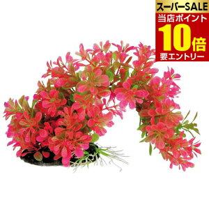 _XSi|Cg10{^vGg[eg tLVuvg FP-3 1lH lH  Ȃ Ȃ tLVu