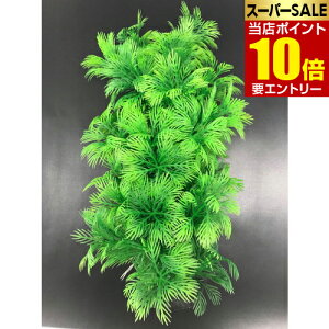 _XSi|Cg10{^vGg[eg tLVuvg FP-4 1lH lH  Ȃ Ȃ tLVu