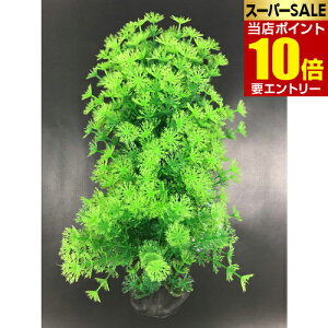 _XSi|Cg10{^vGg[eg tLVuvg FP-7 1lH lH  Ȃ Ȃ tLVu