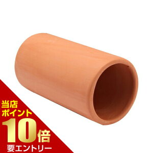 _XSi|Cg10{^vGg[i fẲB ۓy  1WFbNX GEX fĂ B y