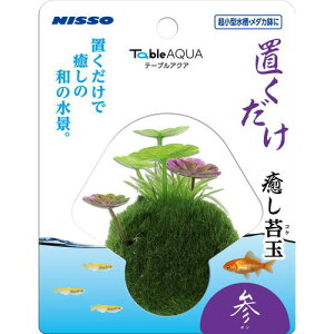 小型水槽 メダカ 水槽用レイアウト用品の人気商品 通販 価格比較 価格 Com