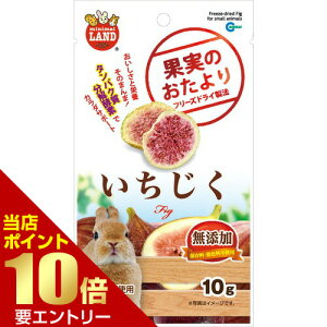 _XSi|Cg10{^vGg[ʎ̂  10g}J MG MARUKAN  bg nX^[ X ``   C`WN ԉ